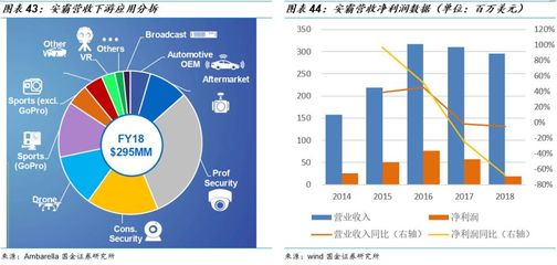 圖像處理芯片潛力無限，中國表現如何？