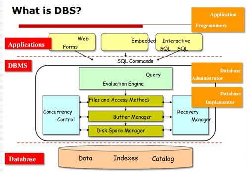 數據庫管理系統（DBMS）入門 基礎概念、目標與應用